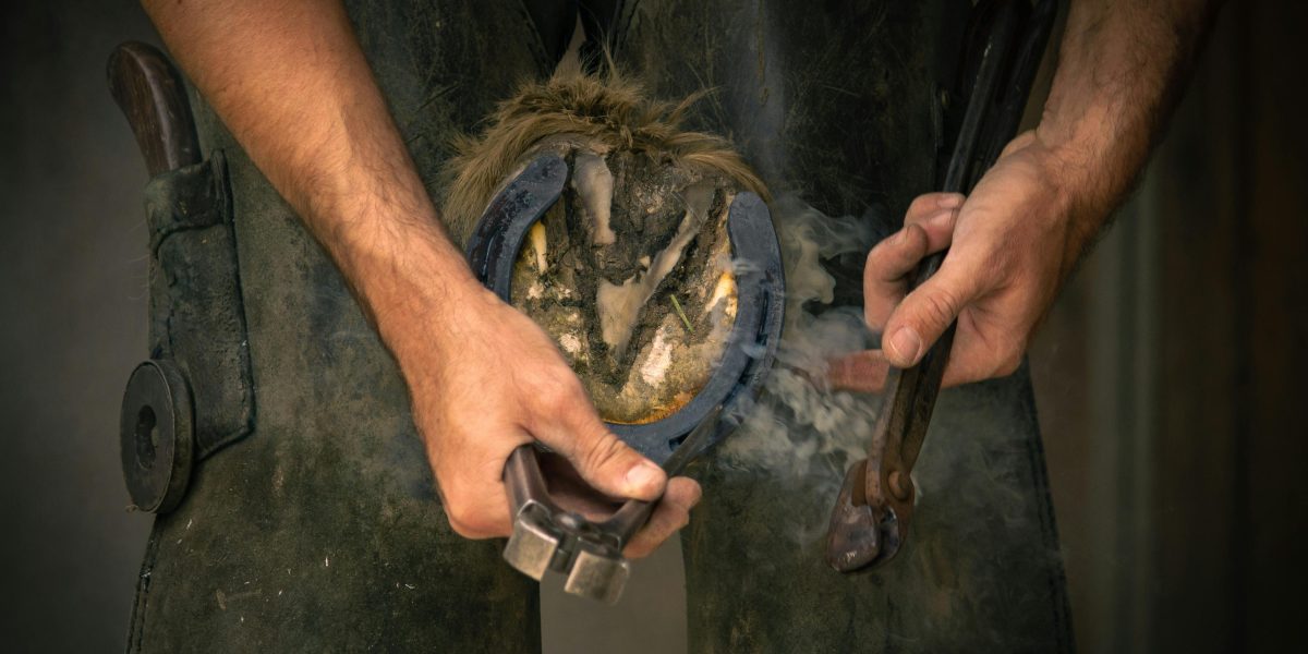 Saúde Equina: Identificação e Tratamento de Doenças Podais (Laminite)