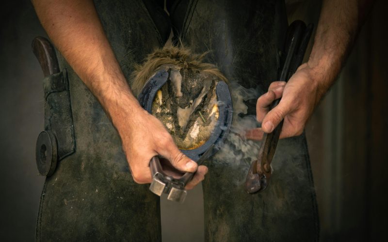 Saúde Equina: Identificação e Tratamento de Doenças Podais (Laminite)