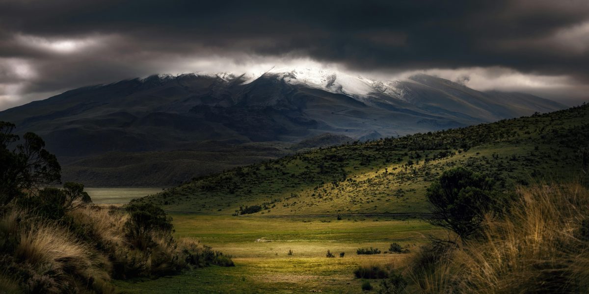Proteja suas Ferramentas: O Guia Definitivo para Limpar Ferrugem e Mofo!