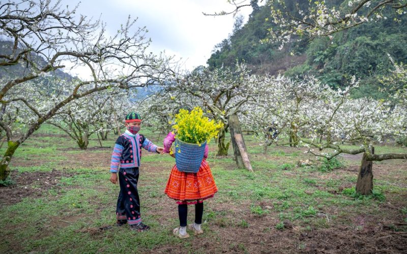 Desvendando o Segredo: Como Combater Formigas Cortadeiras e Proteger sua Propriedade Rural!