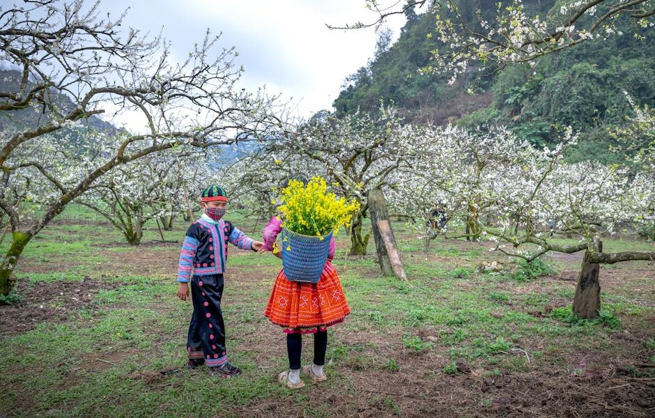 Desvendando o Segredo: Como Combater Formigas Cortadeiras e Proteger sua Propriedade Rural!