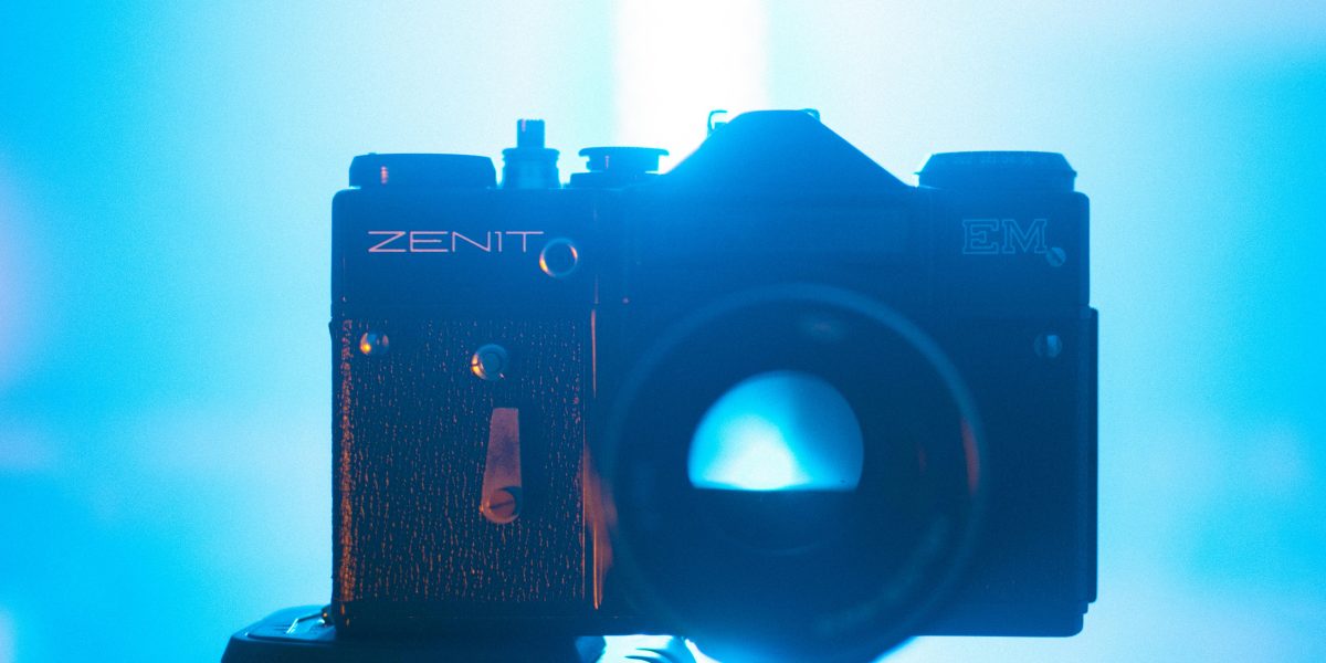 Descubra Como Aumentar a Longevidade Produtiva de Éguas Reprodutoras: Dicas Essenciais para Criadores!