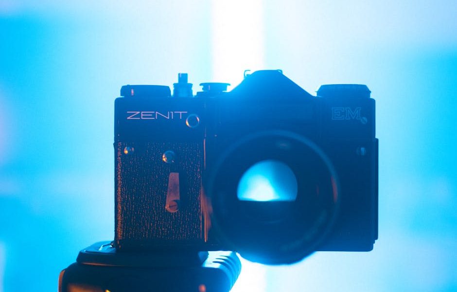 Melhor Indicação de Rações e Suplementos para Suínos em Fase de Reprodução