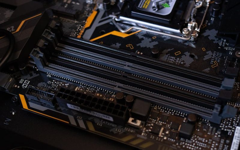 Comparação de Sistemas de Identificação de Gado: Brincos vs. Chips – Qual é o Melhor?