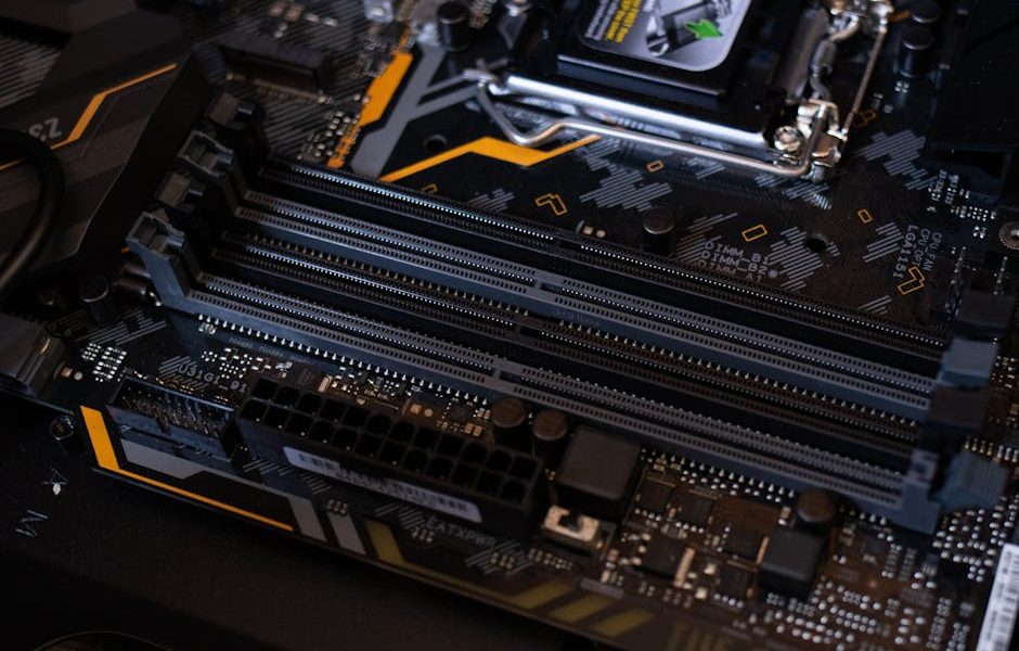 Comparação de Sistemas de Identificação de Gado: Brincos vs. Chips – Qual é o Melhor?