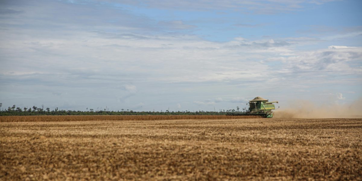 Descubra as Ferramentas Essenciais na Fazenda que Todo Produtor Rural Precisa Conhecer!