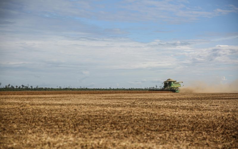 Descubra as Ferramentas Essenciais na Fazenda que Todo Produtor Rural Precisa Conhecer!