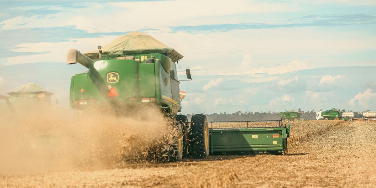 Aumente Seus Lucros na Agropecuária: Dicas de Gestão Financeira no Campo que Fazem a Diferença!