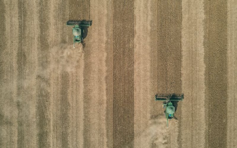 Domine o Controle de Pragas: O Guia Completo para Eliminar Ratos e Insetos da Sua Fazenda!