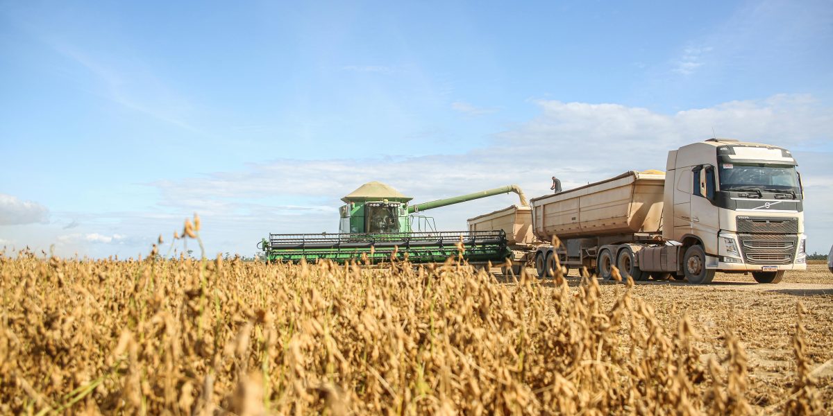 Como Fazer a Colheita e Armazenamento Correto de Grãos de Soja