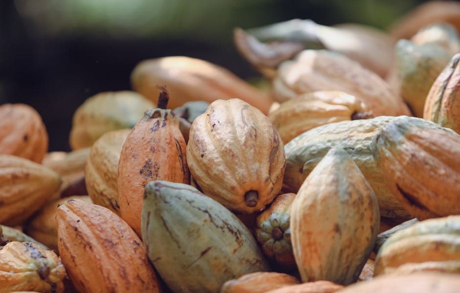 10 Dicas para Instalar Bebedouros e Cochos que Otimizam a Higiene e Consumo