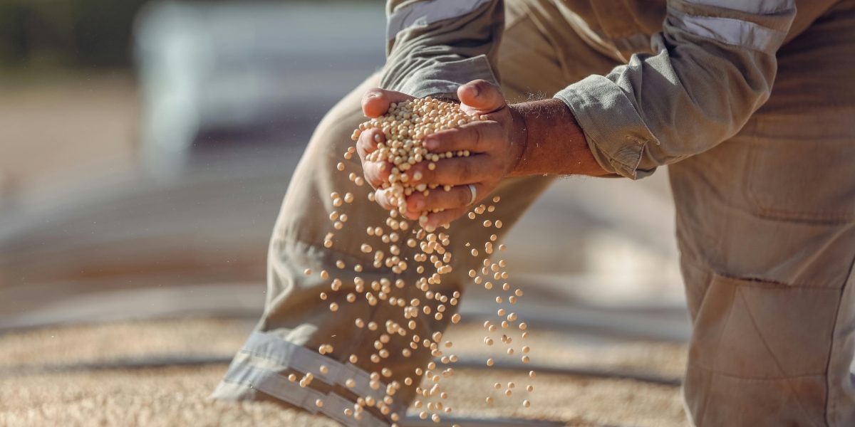 O Mercado de Grãos em 2025: Previsões e Estratégias de Comercialização