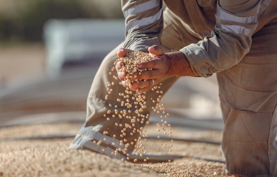 5 Melhores Práticas para Otimizar a Produção de Mel na Apicultura