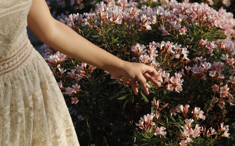 Cuidados Jardim Primavera: Seu Guia Completo para um Jardim Florescente! 🌸🌼
