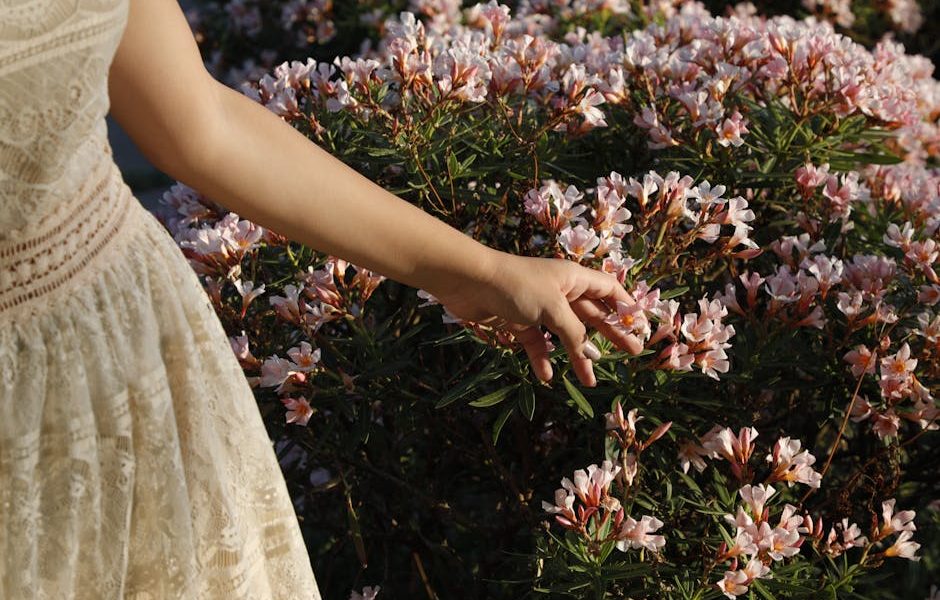 Cuidados Jardim Primavera: Seu Guia Completo para um Jardim Florescente! 🌸🌼
