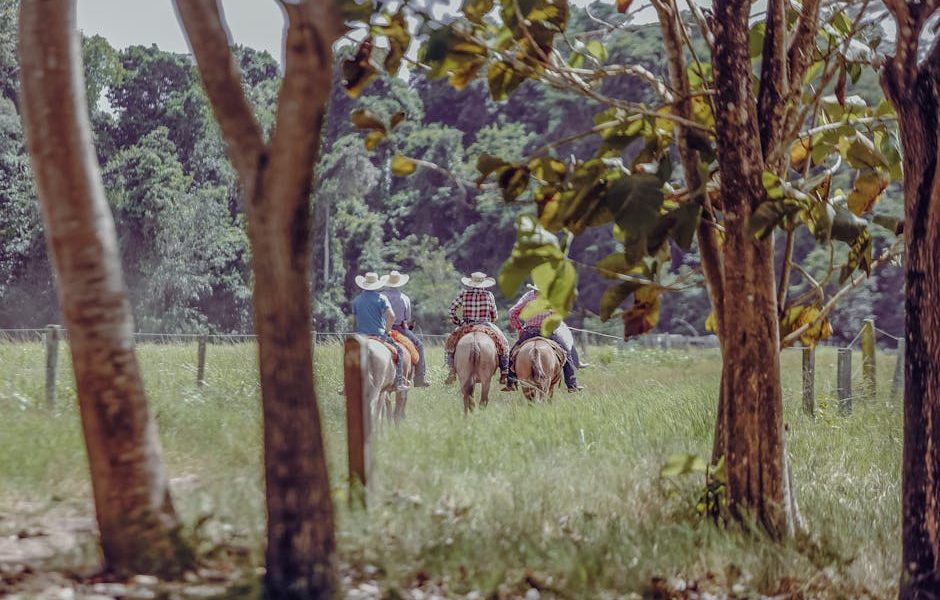 Manejo Correto da Alimentação para Cavalos Atletas: Dicas e Práticas Essenciais