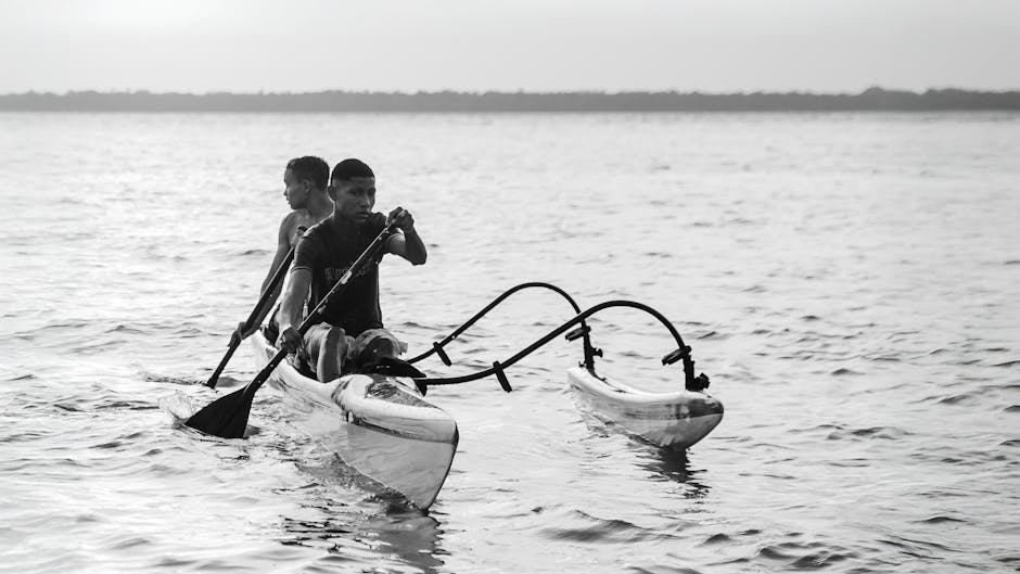 Melhores Práticas para o Transporte de Animais: Guia de Bem-Estar