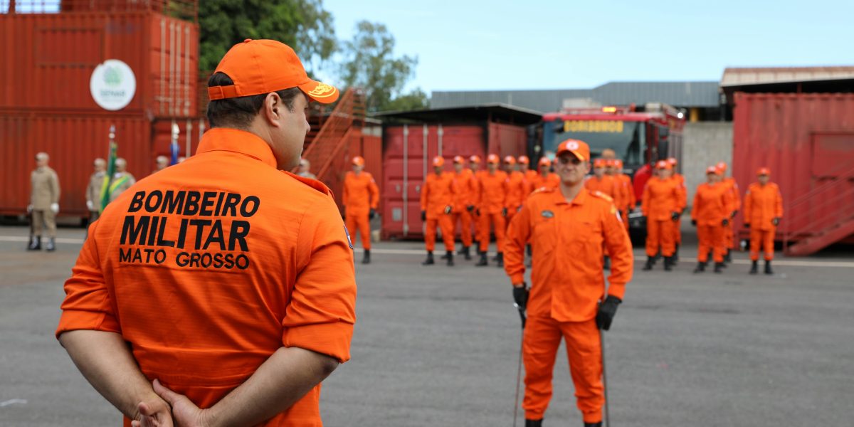 Checklist Completo: Medidas Simples para Prevenção Eficaz de Pragas Urbanas e Rurais