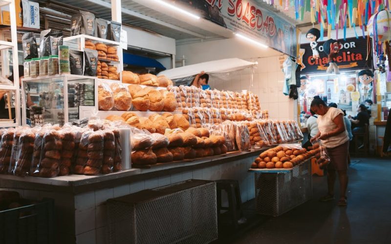 Ovinocultura: Escolha de Raças e Manejo da Lã para Mercado