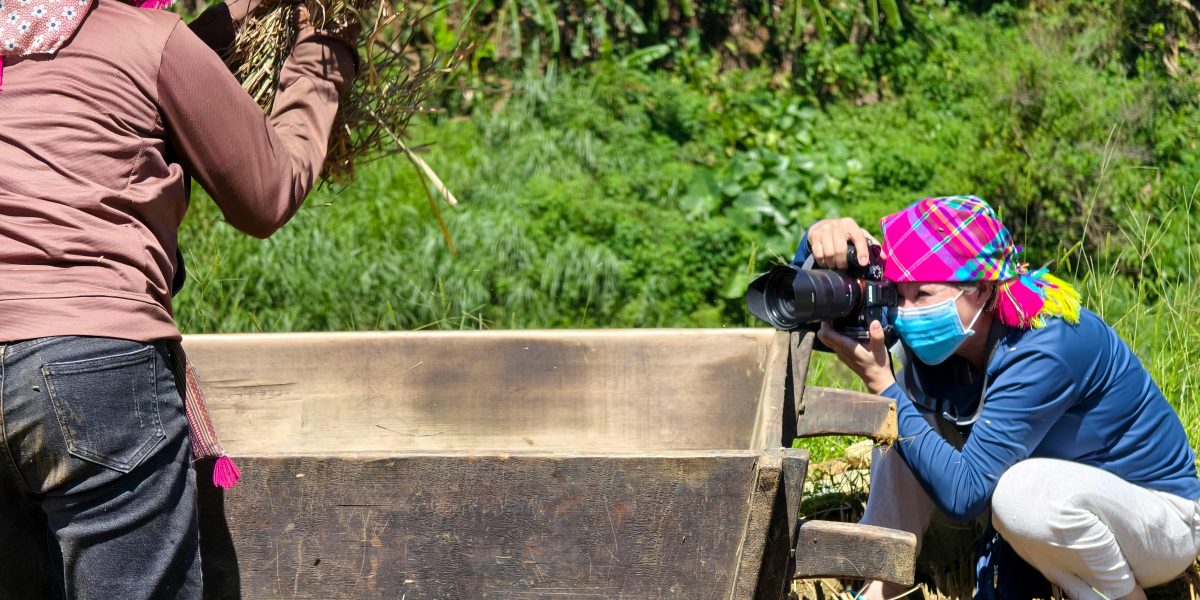 Descubra Tudo Sobre o Seguro Rural: Coberturas, Custos e Dicas para Contratar o Seu!