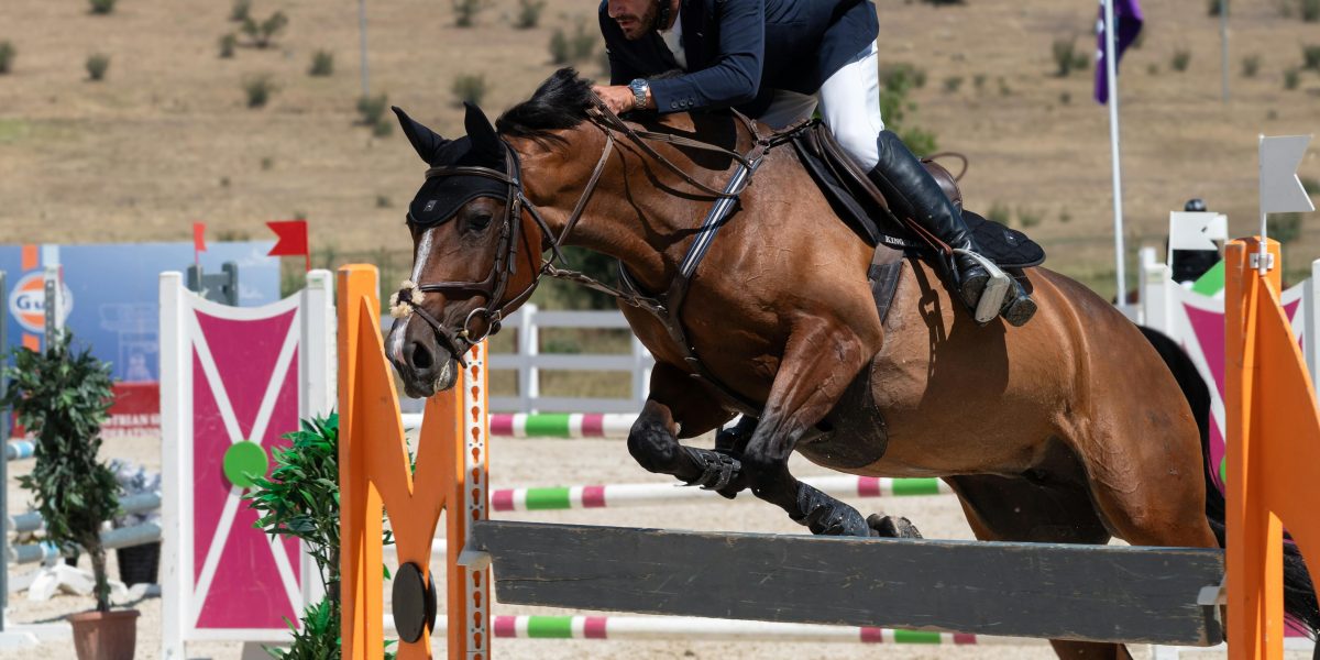 Papilomatose Bovina: Entenda e Controle as Verrugas no Seu Rebanho