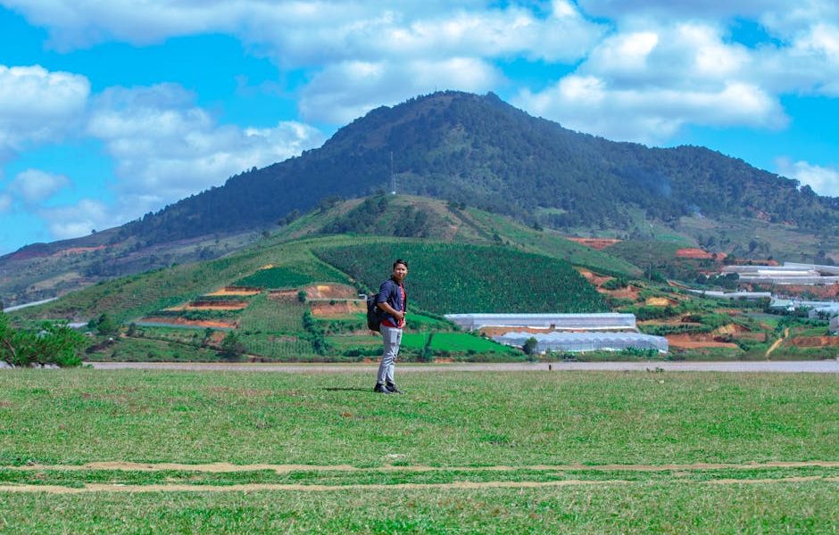 O Impacto da Calagem no Solo e na Produtividade da Pastagem