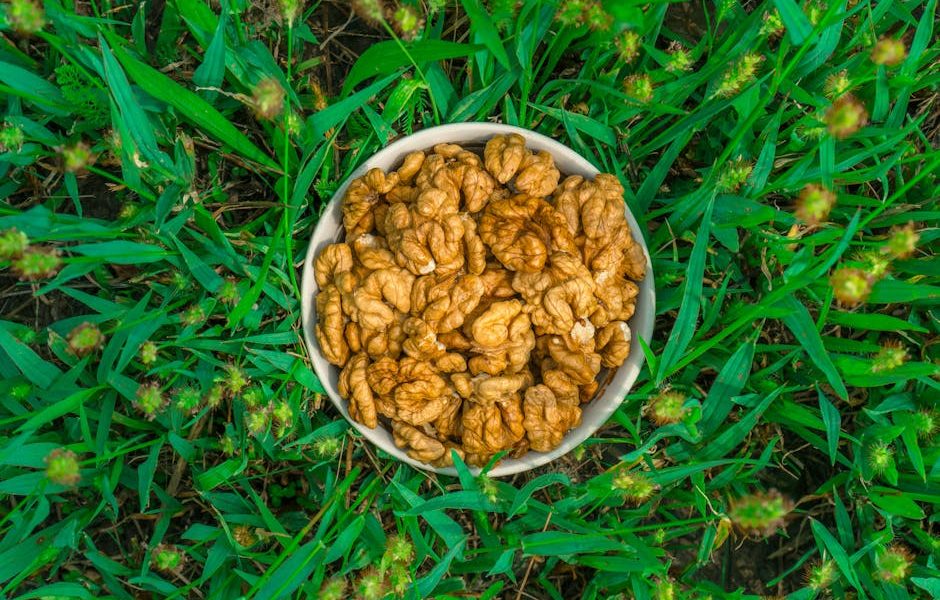 Qual o Melhor Momento para Iniciar a Suplementação Mineral do Rebanho?