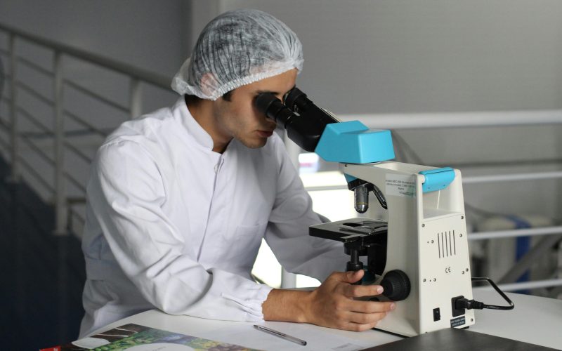Agritech para Equinos: Como o Monitoramento de Desempenho e Saúde Revoluciona a Tecnologia Equina