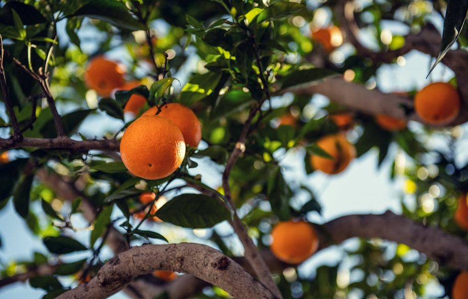 Os Melhores Inseticidas Naturais para Frutíferas: Controle Eficiente de Pragas
