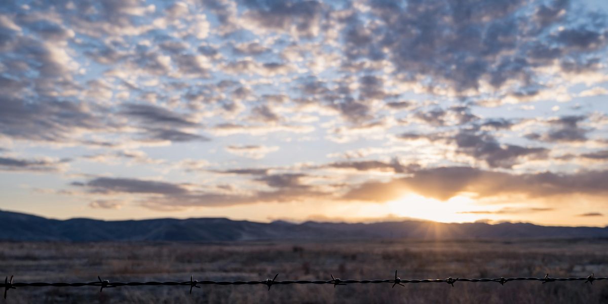 Como escolher o melhor arame farpado e liso para cercamento de pastagens?