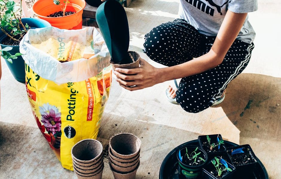Checklist Sazonal: Preparando o Jardim para a Primavera e a Floração – Dicas Essenciais