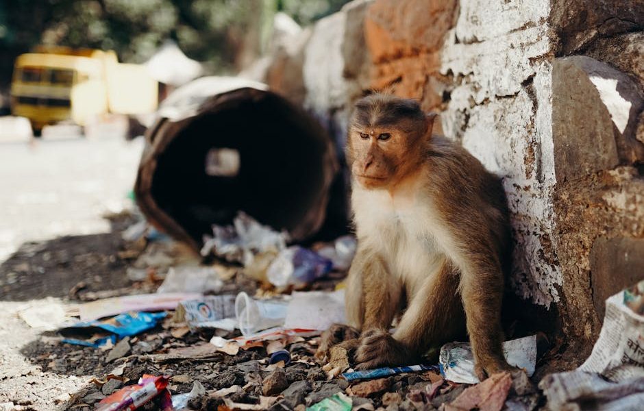 Como a Poluição Sonora Afeta o Estresse Animal e a Produção
