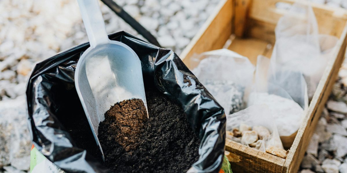 Uso de Adubos Orgânicos vs. Químicos: Qual é o Melhor para sua Jardinagem?