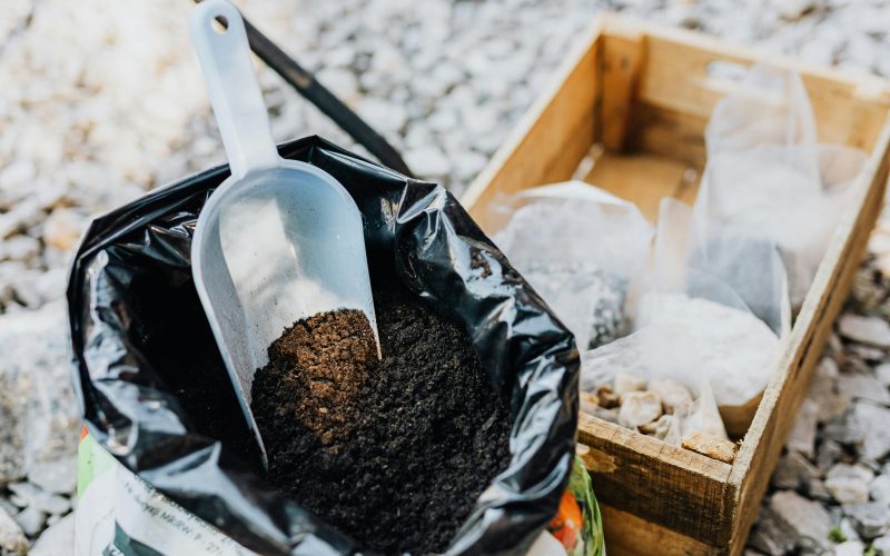 Uso de Adubos Orgânicos vs. Químicos: Qual é o Melhor para sua Jardinagem?
