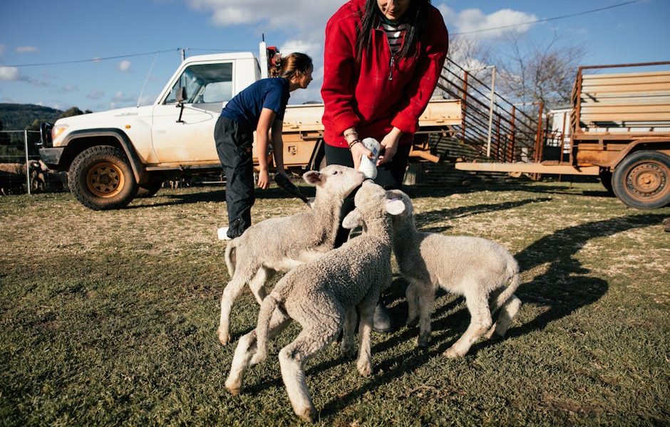 Como um Produtor Transformou sua Fazenda: A História de Sucesso de Triplicar a Produção com Rações Premium!