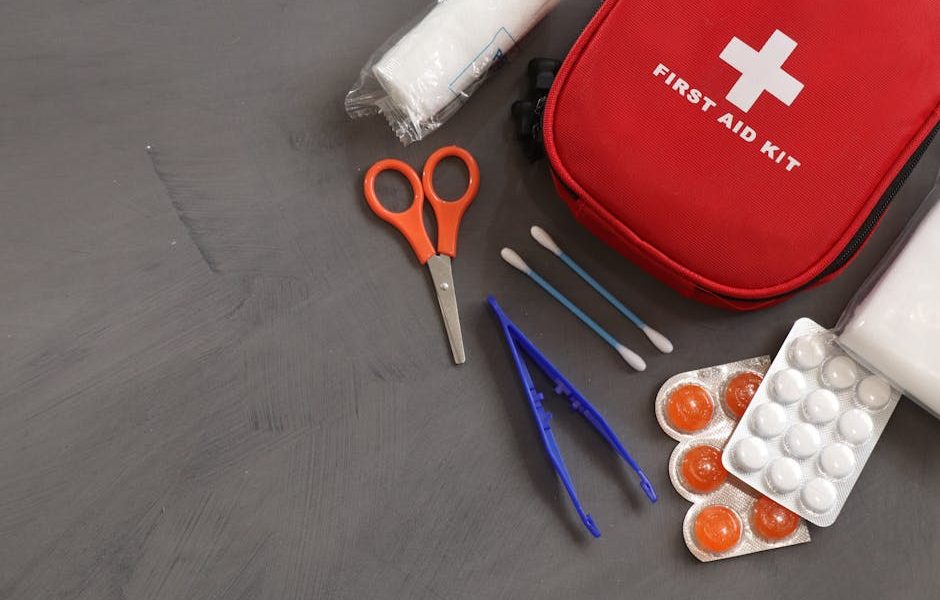 Kit Primeiros Socorros Pet: O Guia Definitivo para Garantir a Saúde do Seu Amigo de Quatro Patas!