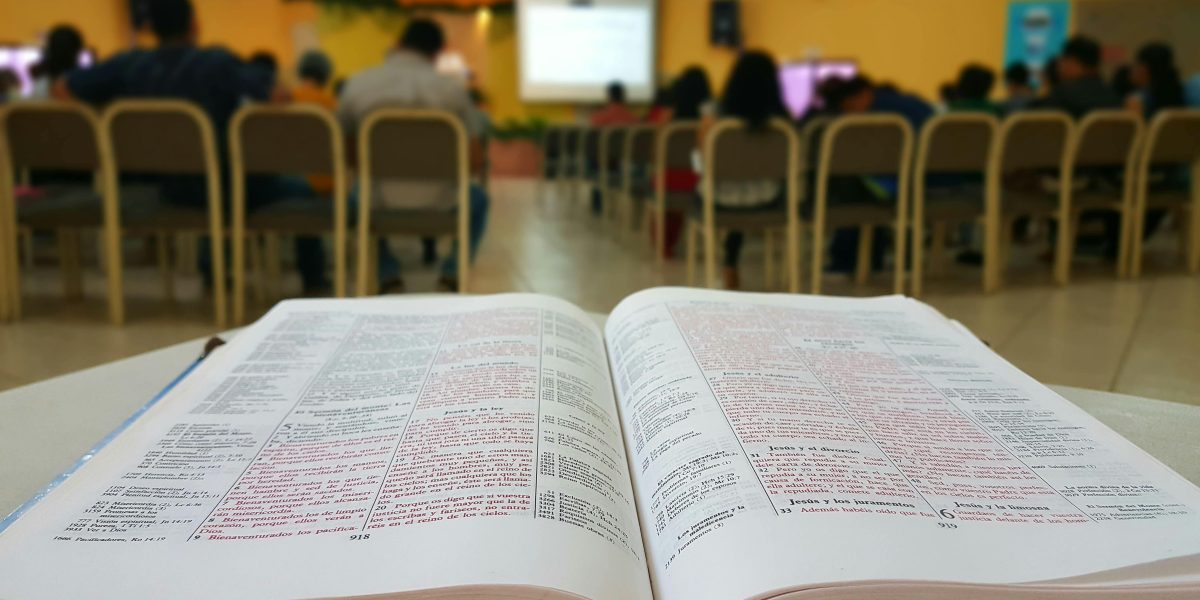 Os 7 Erros Mortais a Evitar na Desmama de Bovinos: Dicas Essenciais para Sucesso na Desmama Bovinos!