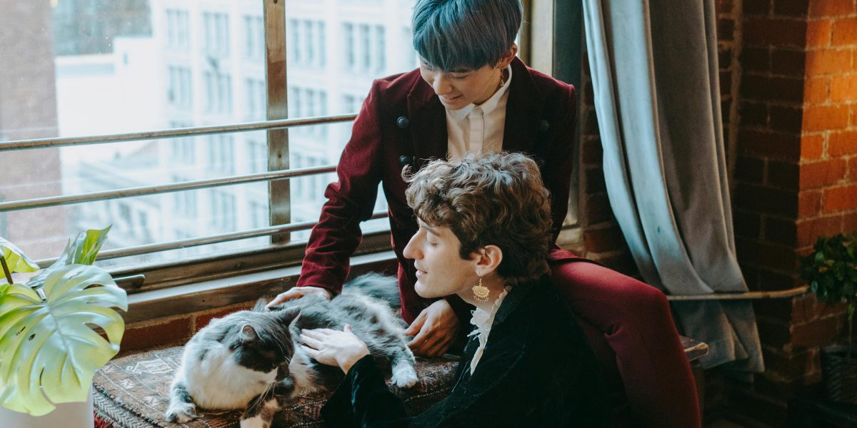 Transforme a Vida do Seu Gato: Desvendando o Enriquecimento Ambiental para Gatos de Apartamento!