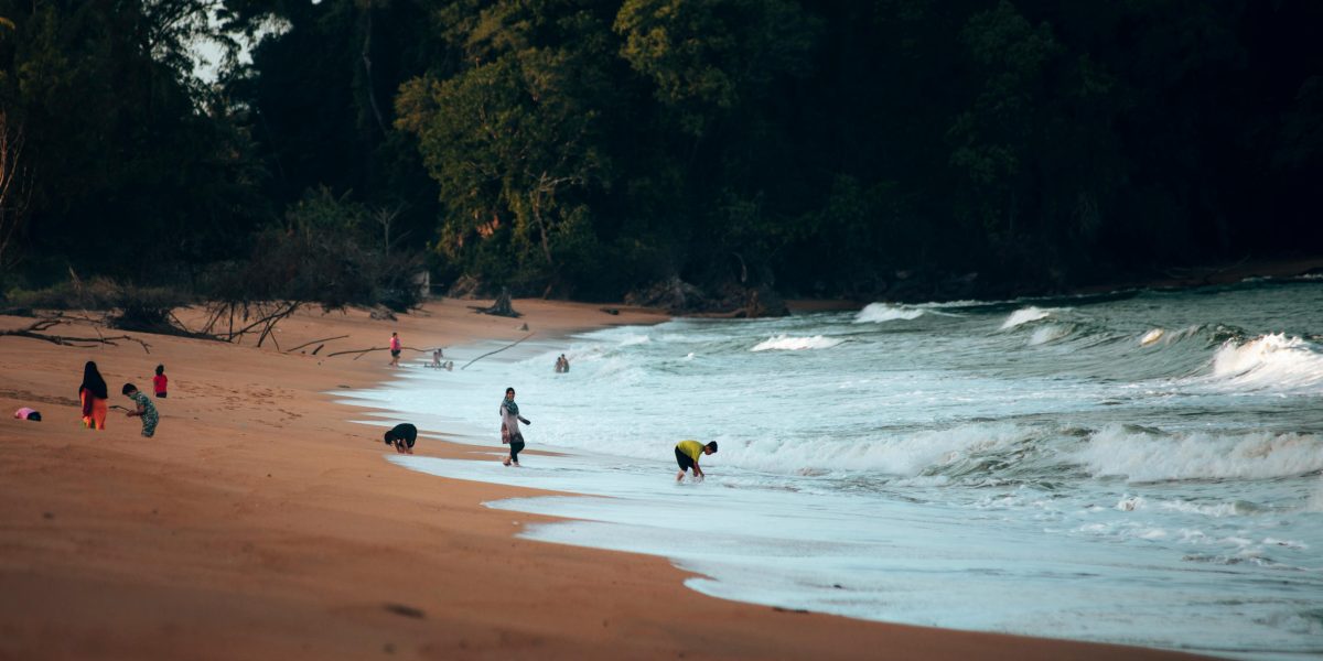 Impermeabilização Rural: Descubra as Melhores Soluções para Telhados e Paredes de Construções Rurais!