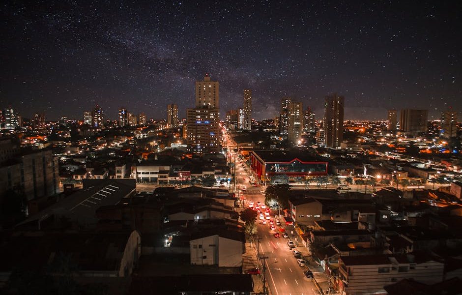 Dicas de Segurança: Como Armazenar Corretamente Iscas e Venenos para Pragas e Proteger Sua Família