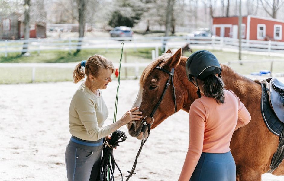 Domine o Treinamento e Amansamento de Cavalos: Técnicas de Manejo Gentil que Transformam Relações!