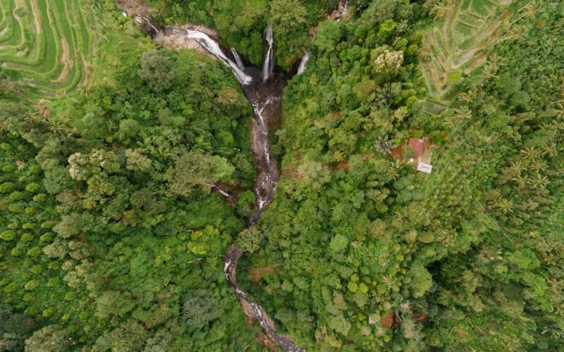 Agricultura de Precisão: O Uso de Sensores para Economia de Água