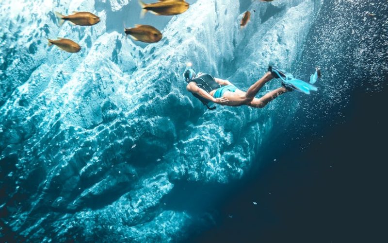 Aprenda a Criar Peixes em Açudes de Forma Sustentável