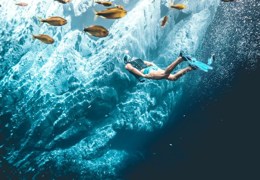 Aprenda a Criar Peixes em Açudes de Forma Sustentável