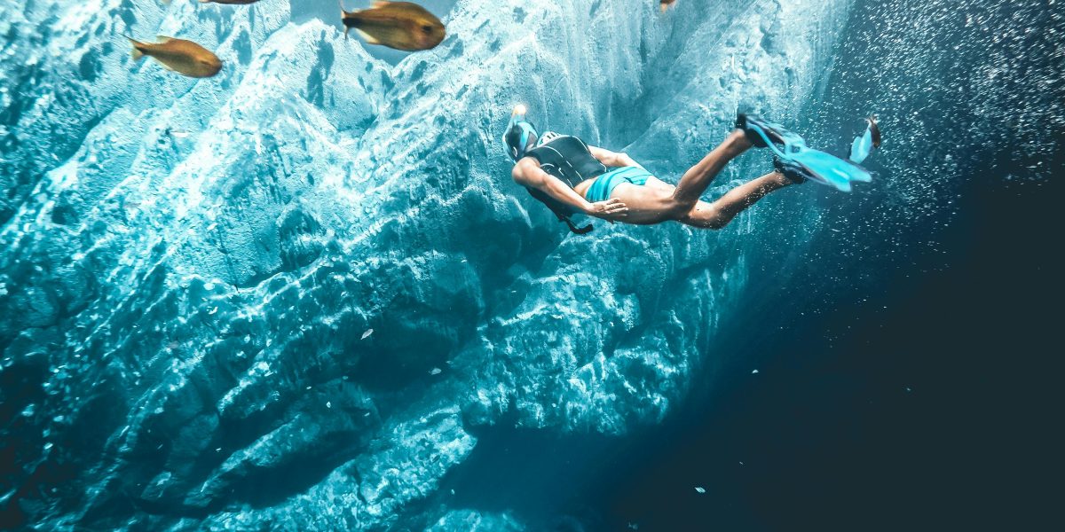 10 Espécies de Peixes para Criação em Açudes: Guia de Manejo Sustentável