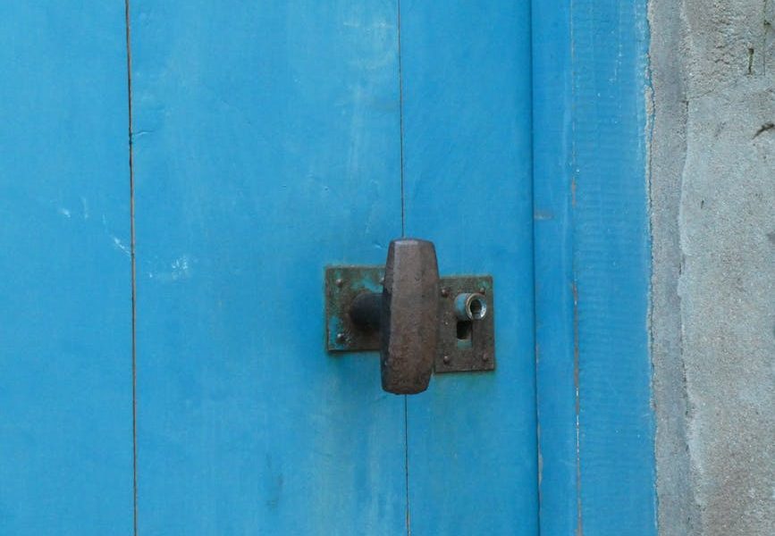 Avicultura de postura: manejo sustentável e lucratividade
