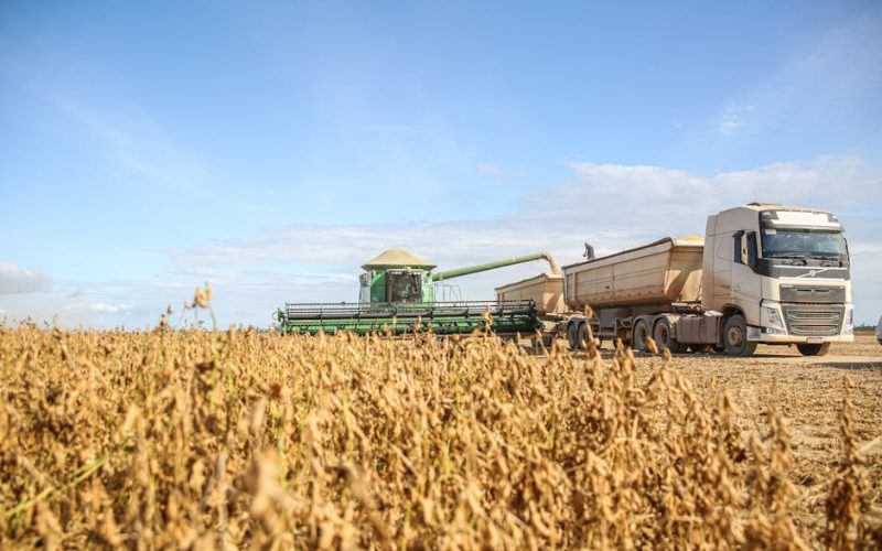 Tendências Agrícolas: Milho e Soja para Decisões Estratégicas do Produtor Rural