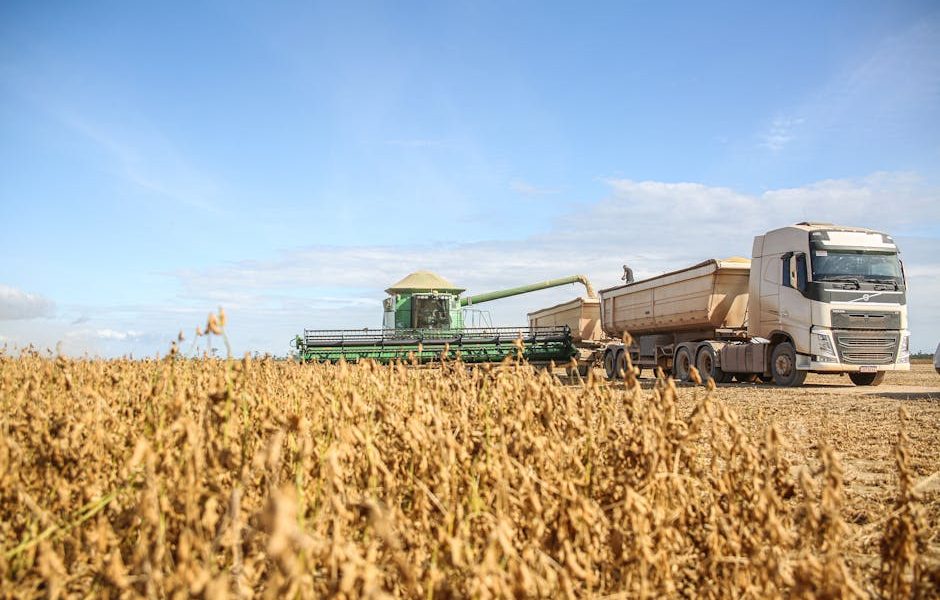 Tendências Agrícolas: Milho e Soja para Decisões Estratégicas do Produtor Rural