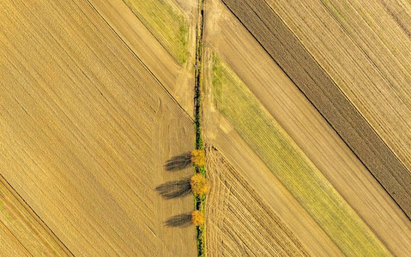 Agricultura de Precisão: Tecnologia Otimiza Produção e Custos