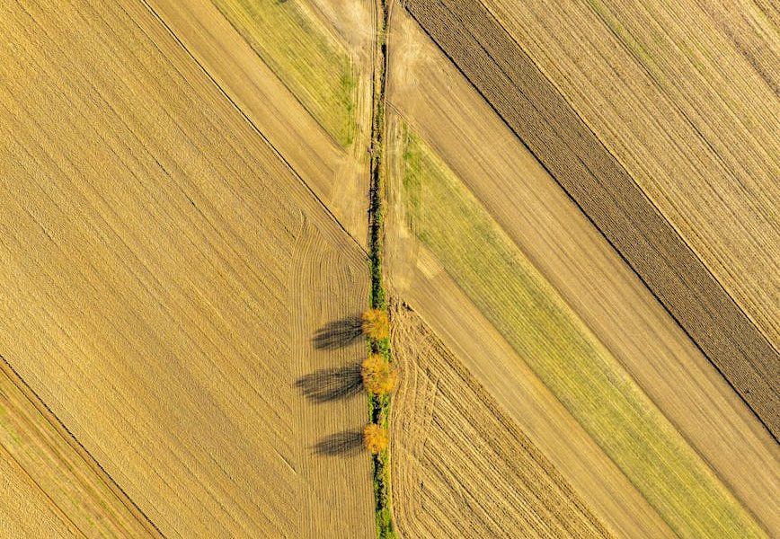 Agricultura de Precisão: Tecnologia Otimiza Produção e Custos